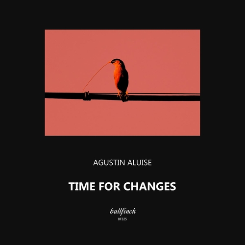 Agustin Aluise - Time for Changes [BF325]